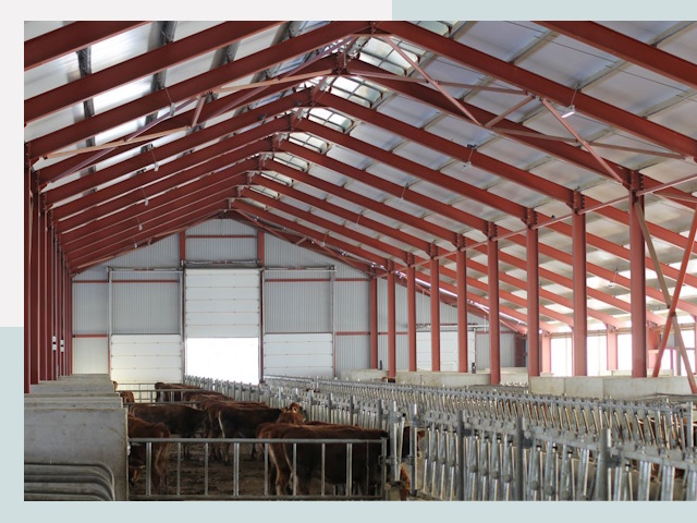 Строительство коровников в Сосногорске