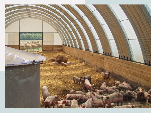 Строительство свинарников в Сосногорске